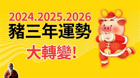 2024年生肖運程猪|2024屬豬幾歲、2024屬豬運勢、屬豬幸運色、財位、禁忌